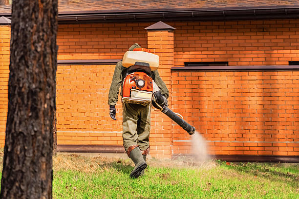Bed Bug Clearance Verification and Documentation in Mosheim